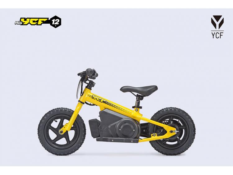 YCF MINI 12P