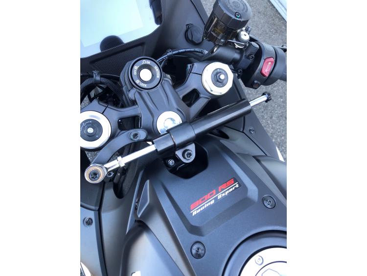 QJ MOTOR SRK 800 RS