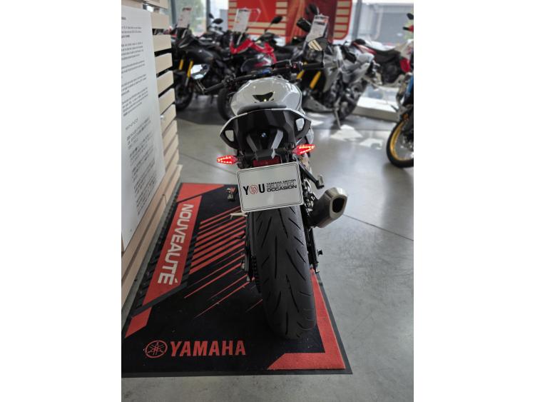 BMW S 1000 R FINITION PRO