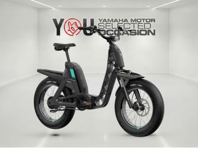 YAMAHA E-Bike BOOSTER Easy