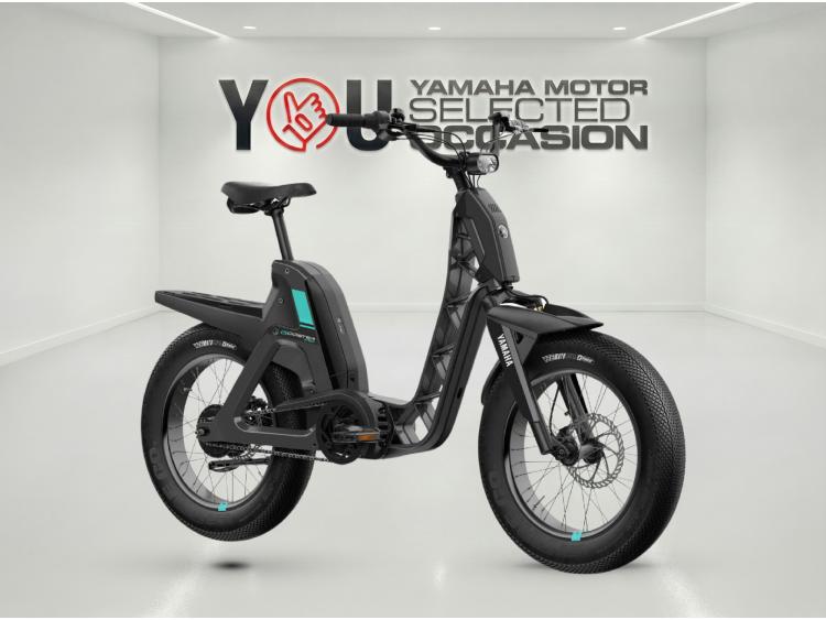 YAMAHA E-Bike BOOSTER Easy