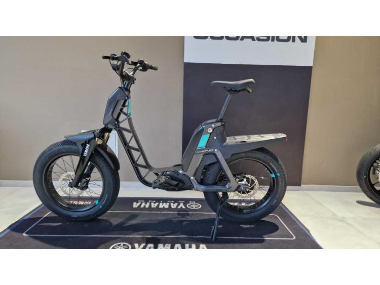 YAMAHA E-Bike BOOSTER Easy