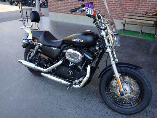 HARLEY-DAVIDSON SPORTSTER 1200 XL