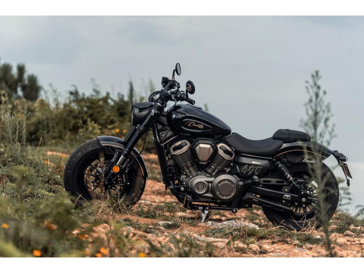 BENDA MOTOR BENDA CHINCHILLA