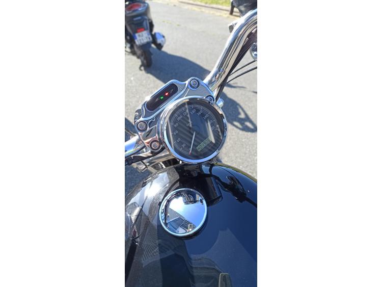 HARLEY-DAVIDSON XL 1200 CUSTOM