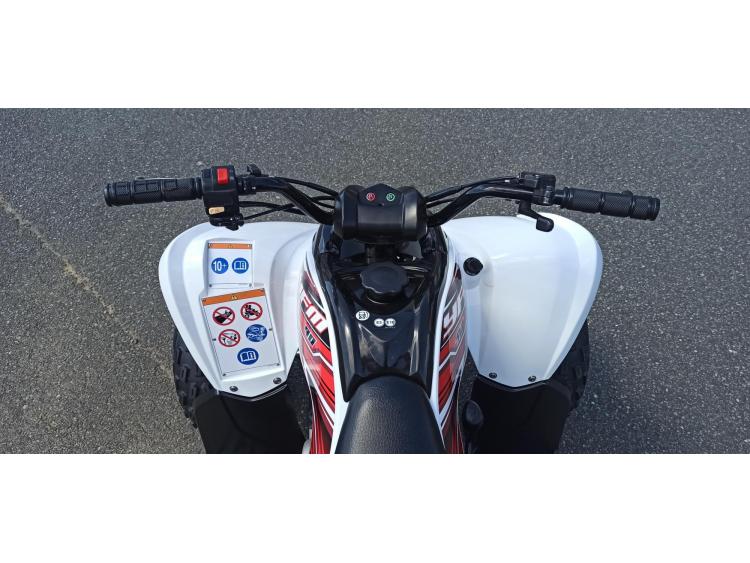 YAMAHA YFM 90 RAPTOR