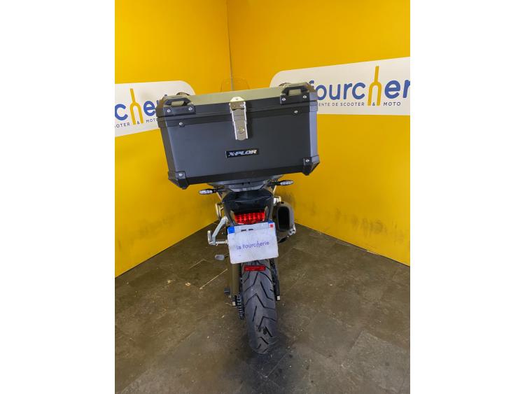 TRIUMPH TIGER 900 RALLY PRO / TIGER 900 / TIGER900 / 35KW / PERMIS A2