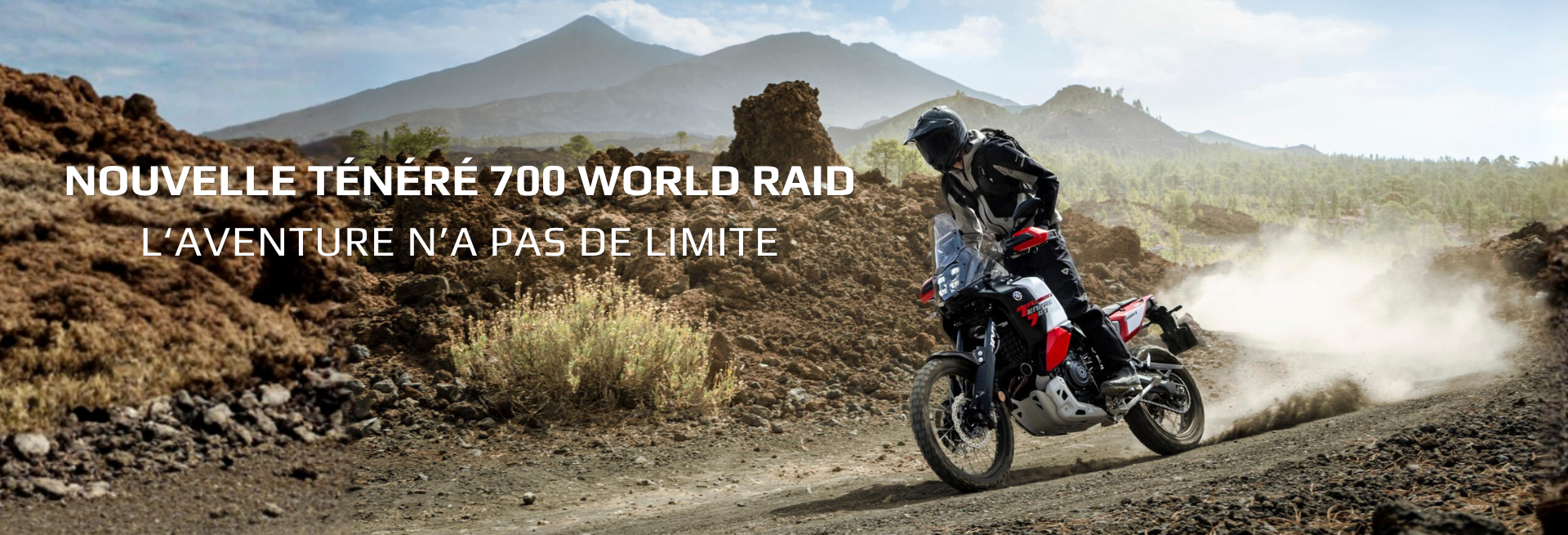 TÉNÉRÉ 700 WORLD RAID