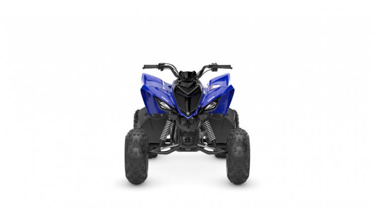 2025 YFM110R