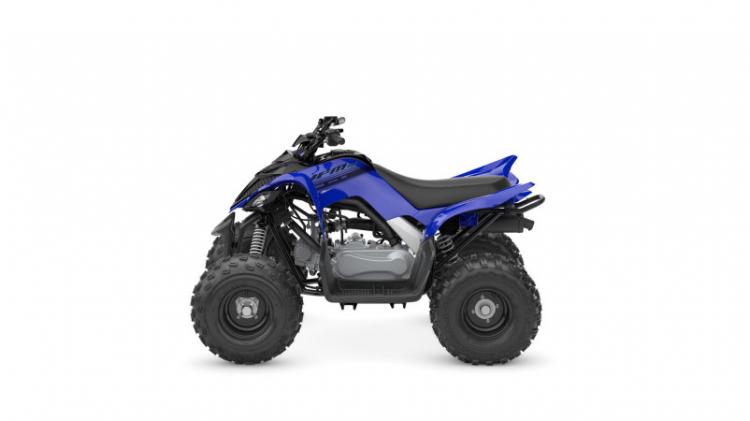 2025 YFM110R