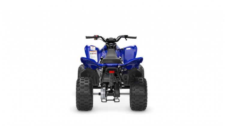 2025 YFM110R