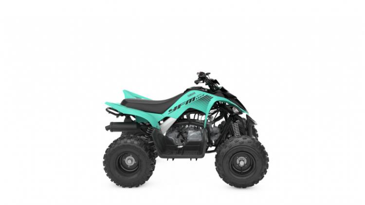 2025 YFM110R