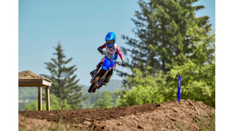 YZ65