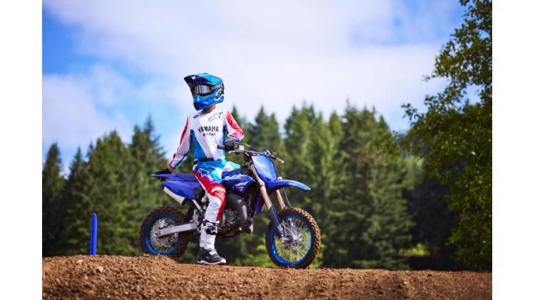 YZ65