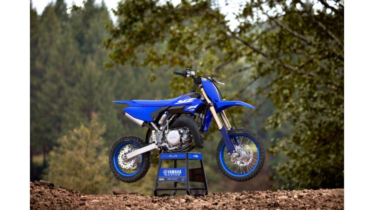 YZ65